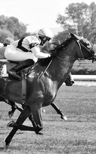 Black and white photo of a horse race near the 5 star hotel in Düsseldorf